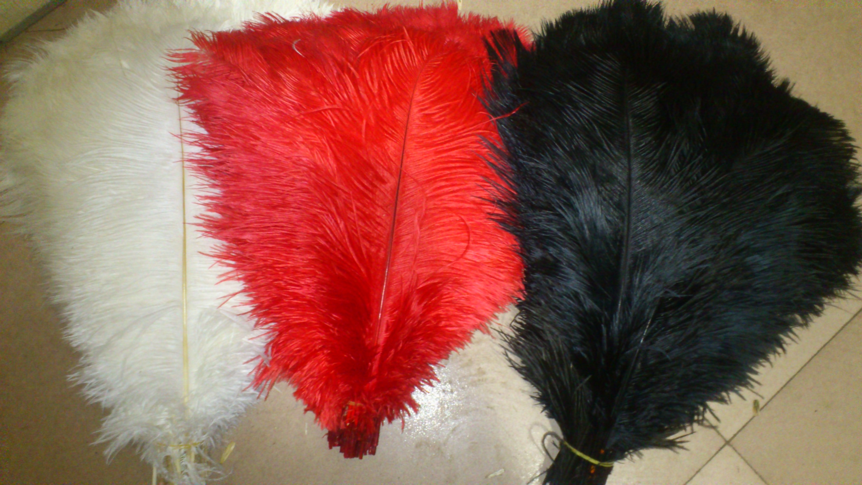 50 red 50 white and 50 black Ostrich Feather 12-14inch - Click Image to Close